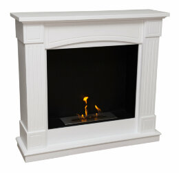 Биокамин Firebird Олимпия